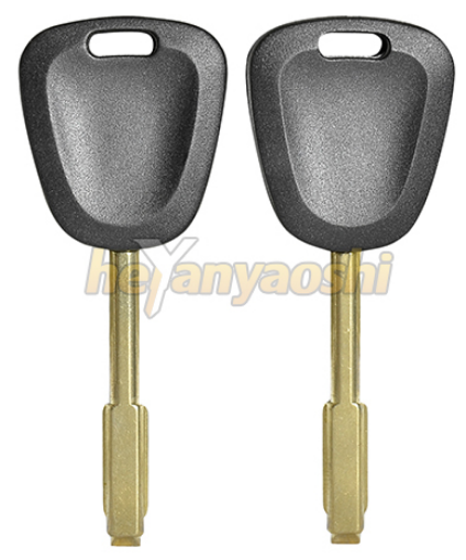 Picture of Transponder Key for Jaguar TBE1T5