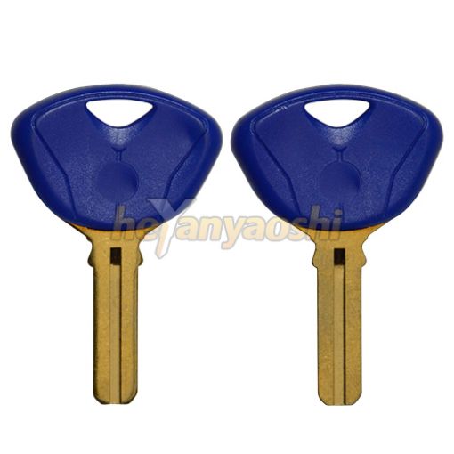 Picture of Bmw Motorcycle Key Shell                          Blue Color                      