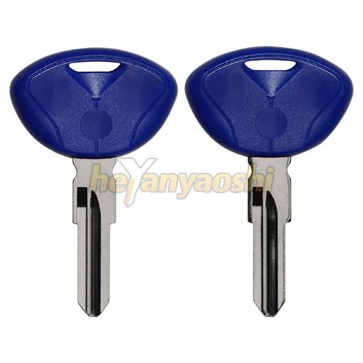 Picture of Bmw Motorcycle Key Shell                          Blue Color 