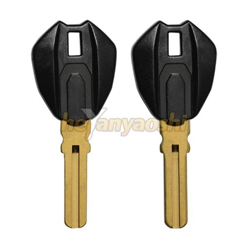 Picture of Ducati Motorcycle Key Shell                         Black Color                     