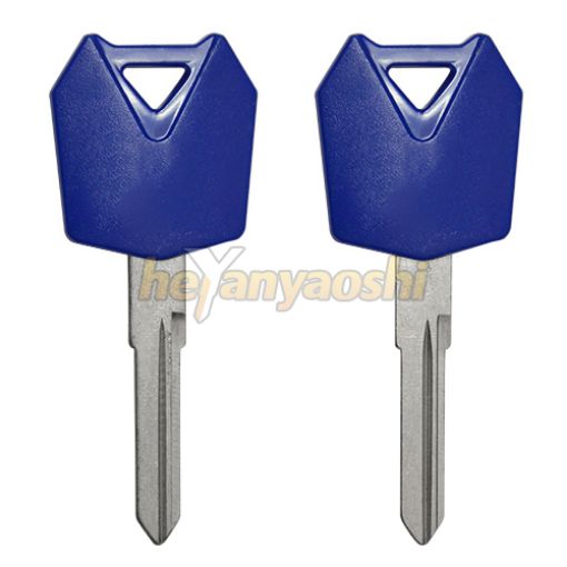 Picture of Kawasaki Motorcycle Key Shell                          Blue Color                                          