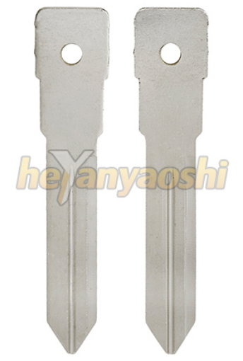 Picture of Test blade B99 for GM